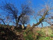 17 Dopo una bella salita nel bosco il panorama si apre verso i Prati Parini